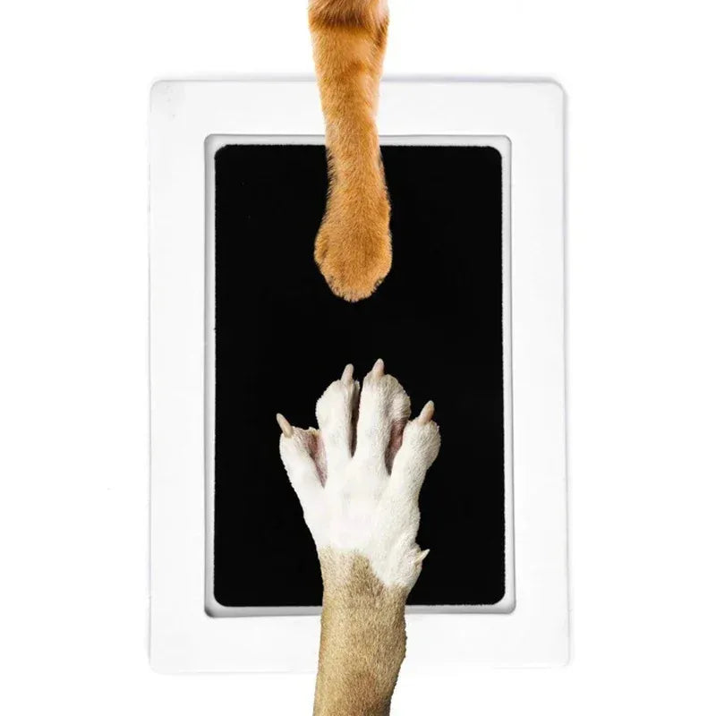 PawTrace CleanTouch Erinnerungsset