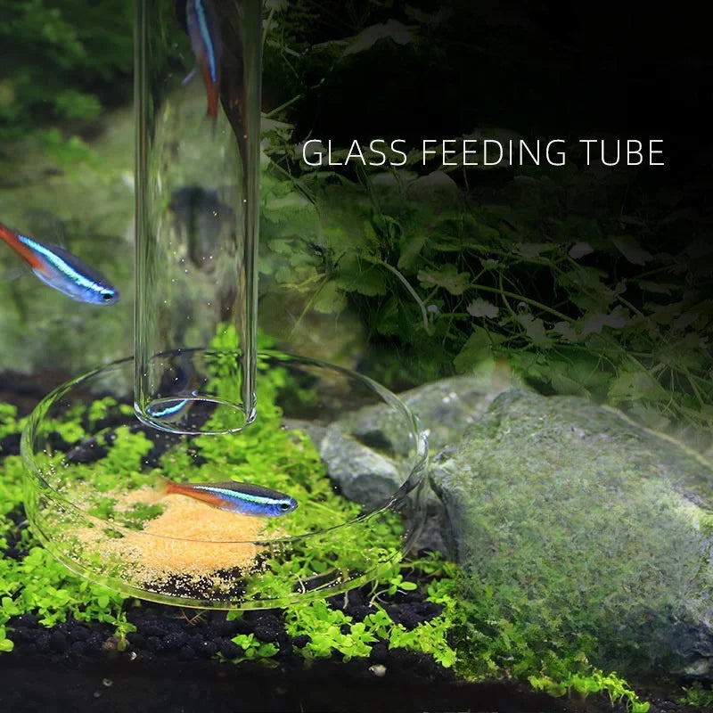 Aquarium Glas-Fütterungsrohr & Garnelenschale Set – Glockenförmiger Borosilikatglas-Futterspender