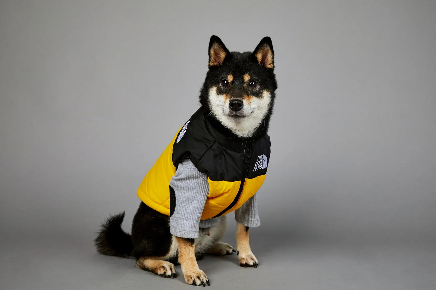 Der luxuriöse Hundeanzug für Hundefans
