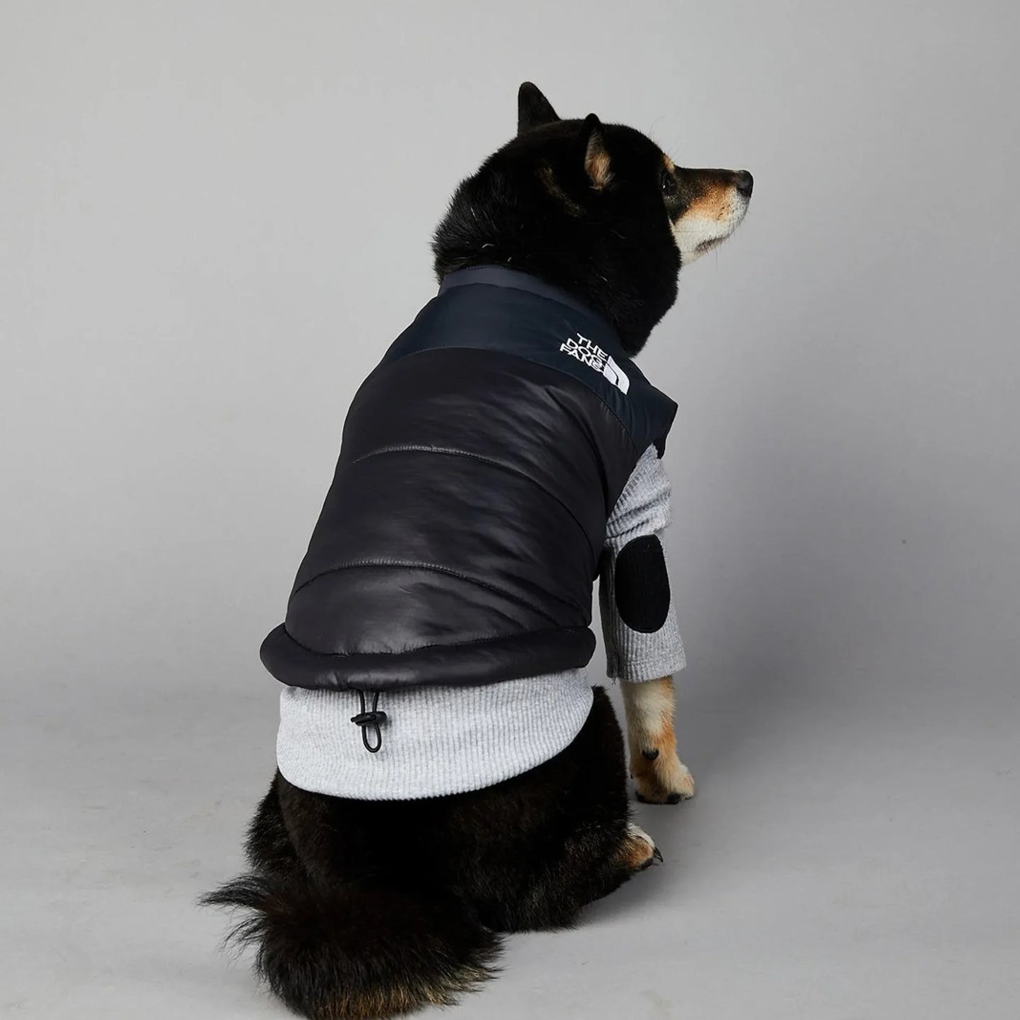 Der luxuriöse Hundeanzug für Hundefans