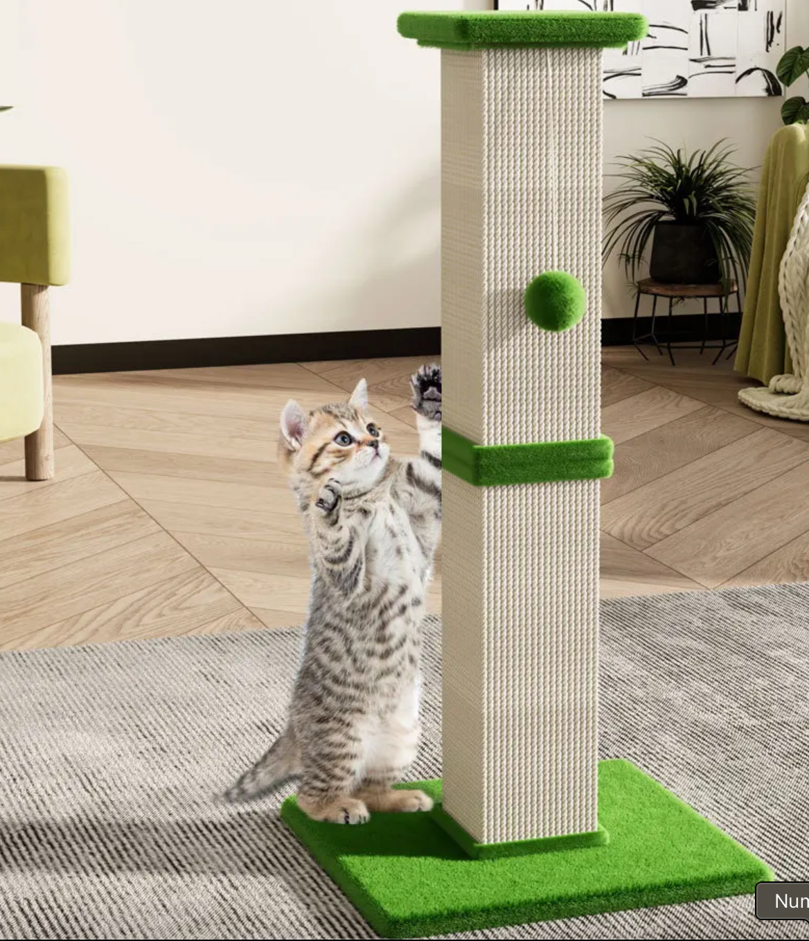 Katzenkratzbaum 80 cm hoch – Sisal mit Spielball, 40 x 40 cm Sockel, mehrfarbig