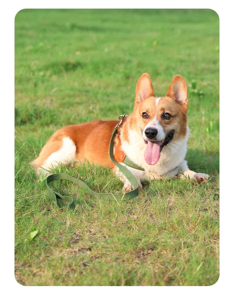PawCommand Premium Outdoor Geschirr-Set