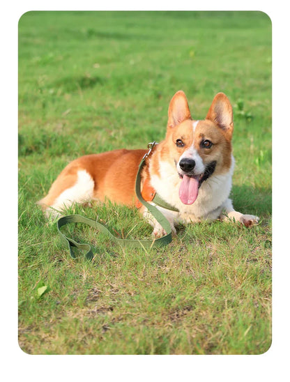 PawCommand Premium Outdoor Geschirr-Set