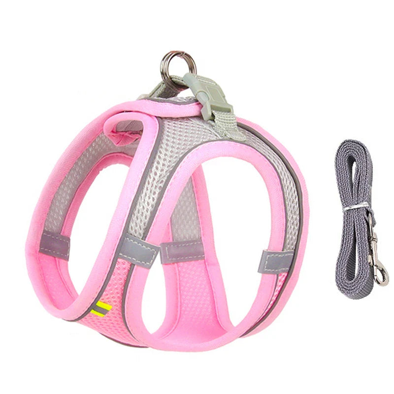 Atmungsaktives Hundegeschirr mit Leine für kleine Hunde – Polyester, XXS-L