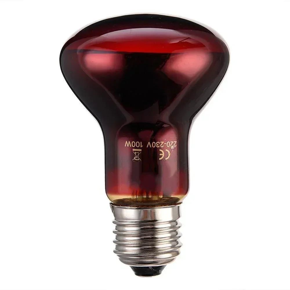 220-V-Infrarot-Heizlampe