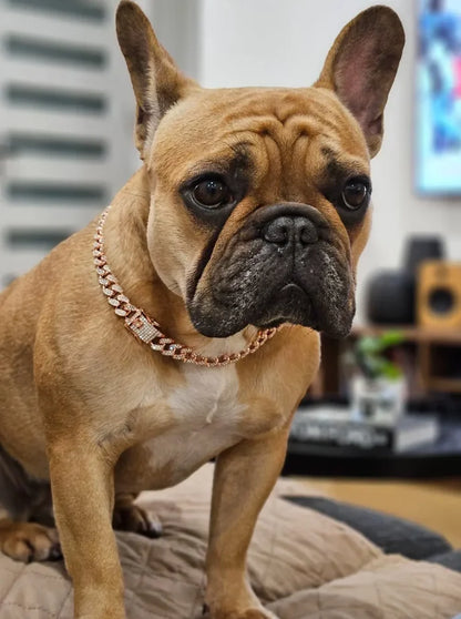 GlamPaw Diamant-Kubanische Gliederkette