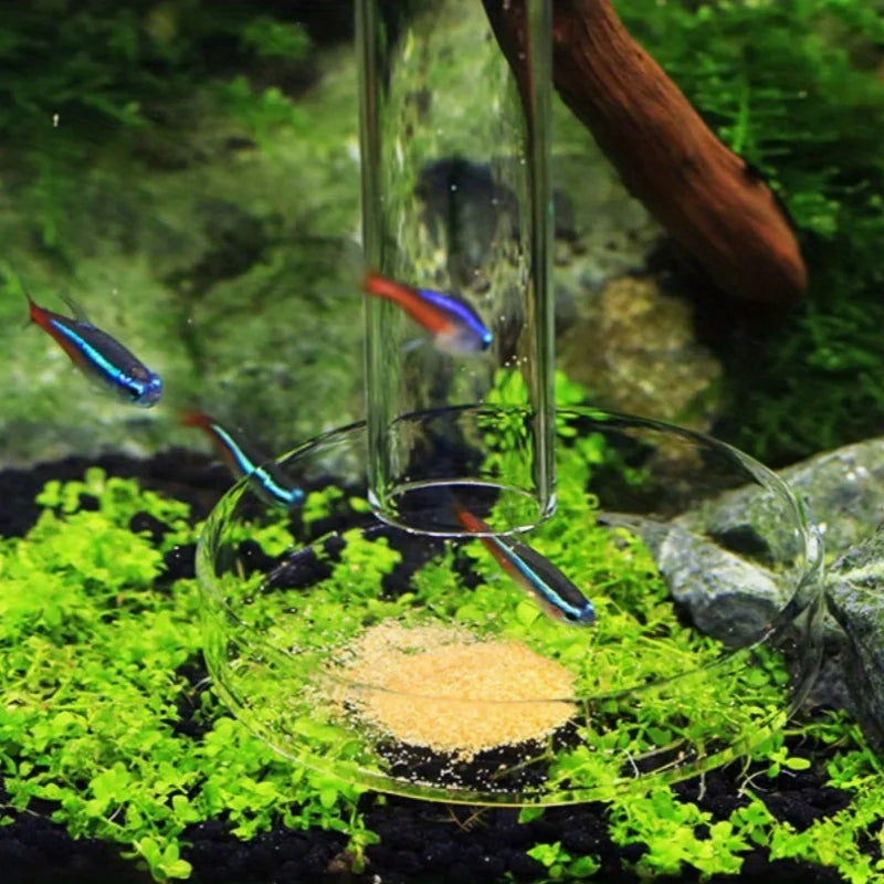 Aquarium Glas-Fütterungsrohr & Garnelenschale Set – Glockenförmiger Borosilikatglas-Futterspender