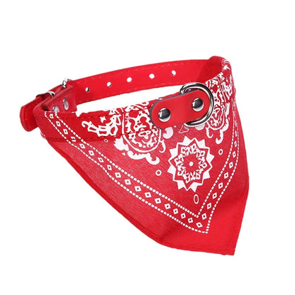 STYLPET PU-Kragen mit Schal