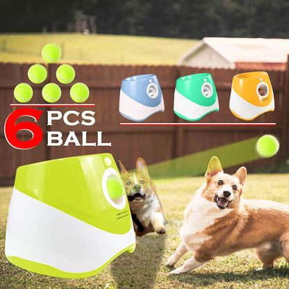 Automatischer Ballwerfer für Hunde – 6 Bälle, USB-aufladbar, 5 cm