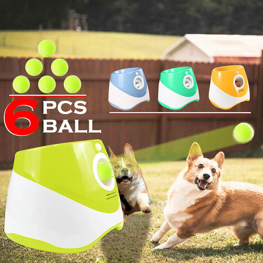 Automatischer Ballwerfer für Hunde – 6 Bälle, USB-aufladbar, 5 cm