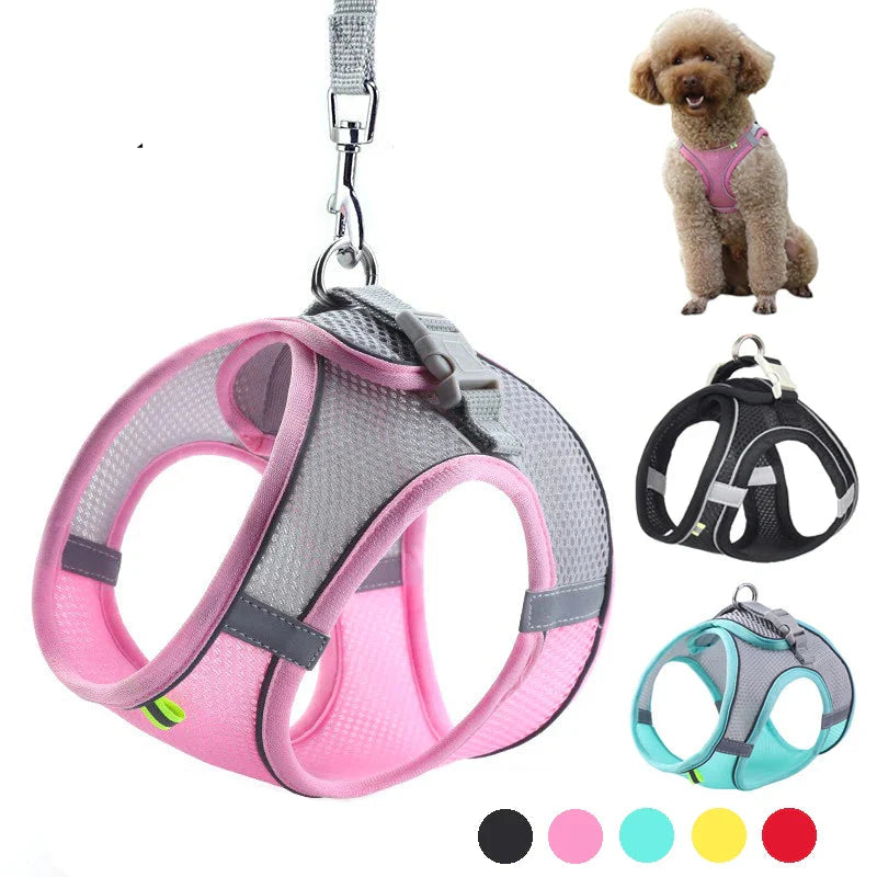 Atmungsaktives Hundegeschirr mit Leine für kleine Hunde – Polyester, XXS-L