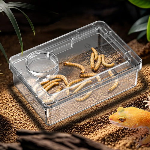 EscapeGuard Reptilien Futter- & Wasserschale
