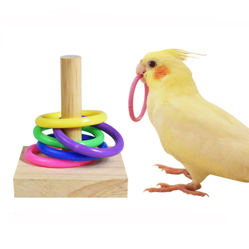 Vogeltrainingsspielzeug aus Holz und Kunststoff – pädagogisch wertvoll für Papageien