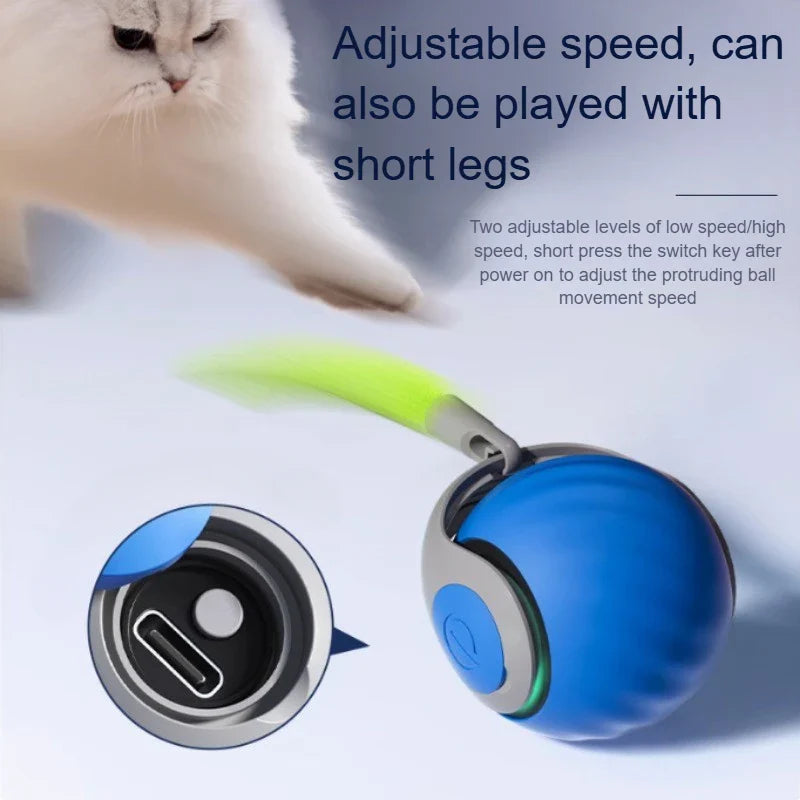 Interaktiver Katzenball mit Neptail – USB-wiederaufladbares Silikonspielzeug