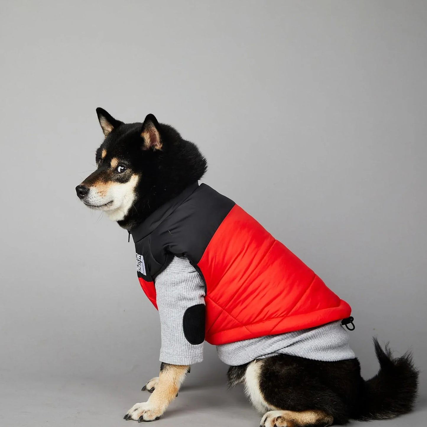 Der luxuriöse Hundeanzug für Hundefans