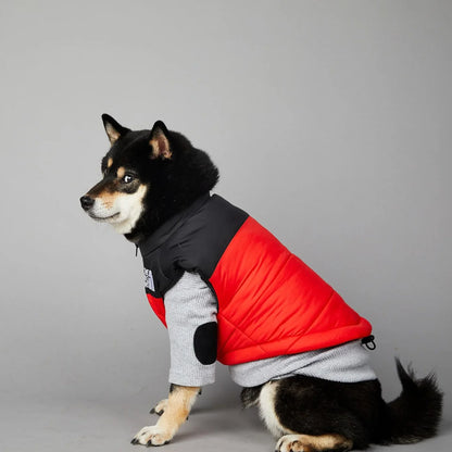 Der luxuriöse Hundeanzug für Hundefans