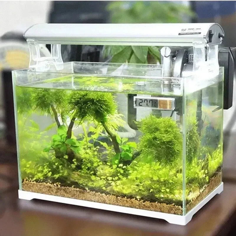 AquaView Digitales LCD Aquarium-Thermometer