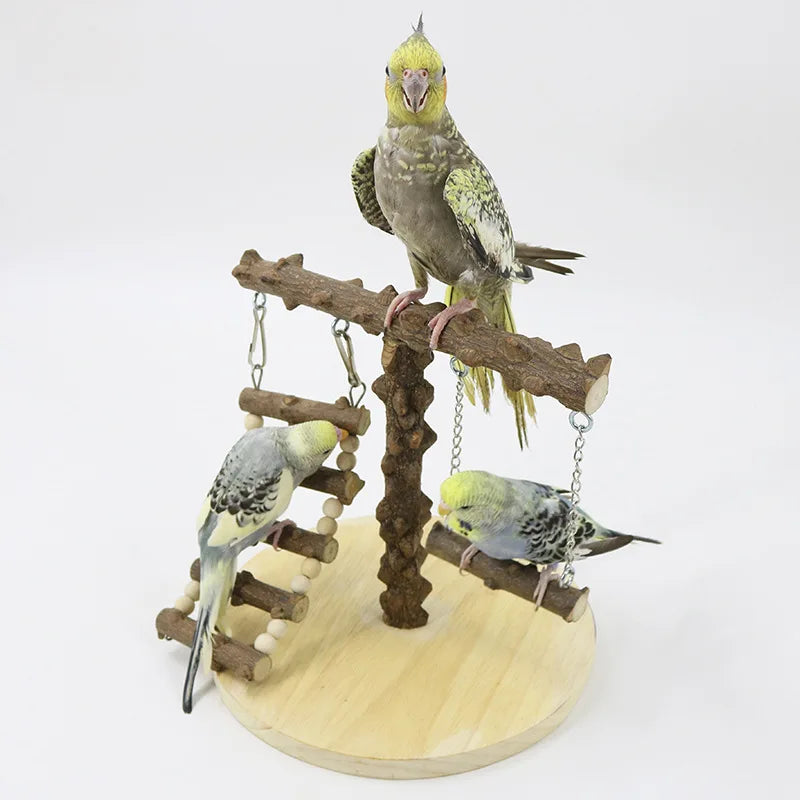 Spielständer für Papageien aus Holz mit Leiter und Schaukel – 22 × 22 × 21,5 cm