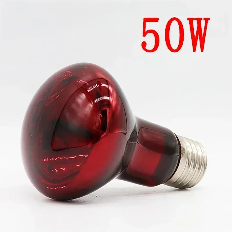 220-V-Infrarot-Heizlampe