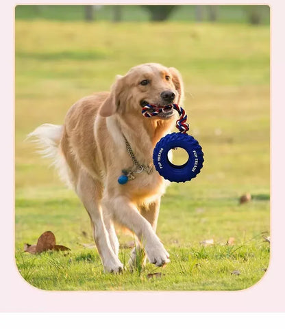 Climb Paws Hunde-Beißspielzeug