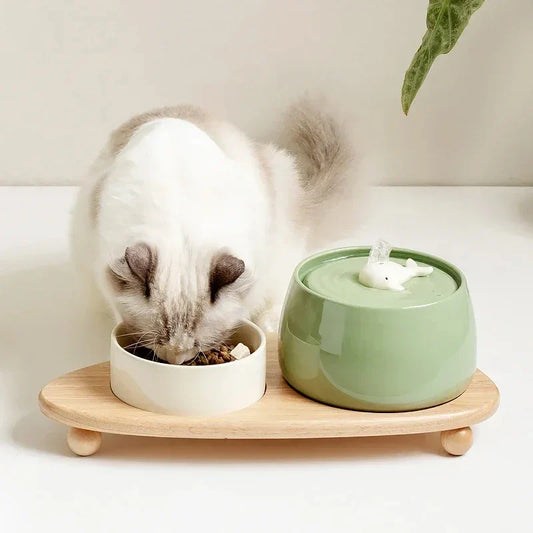 Keramik-Katzenbrunnen – Leise, USB-Anschluss, mit Aktivkohlefilter