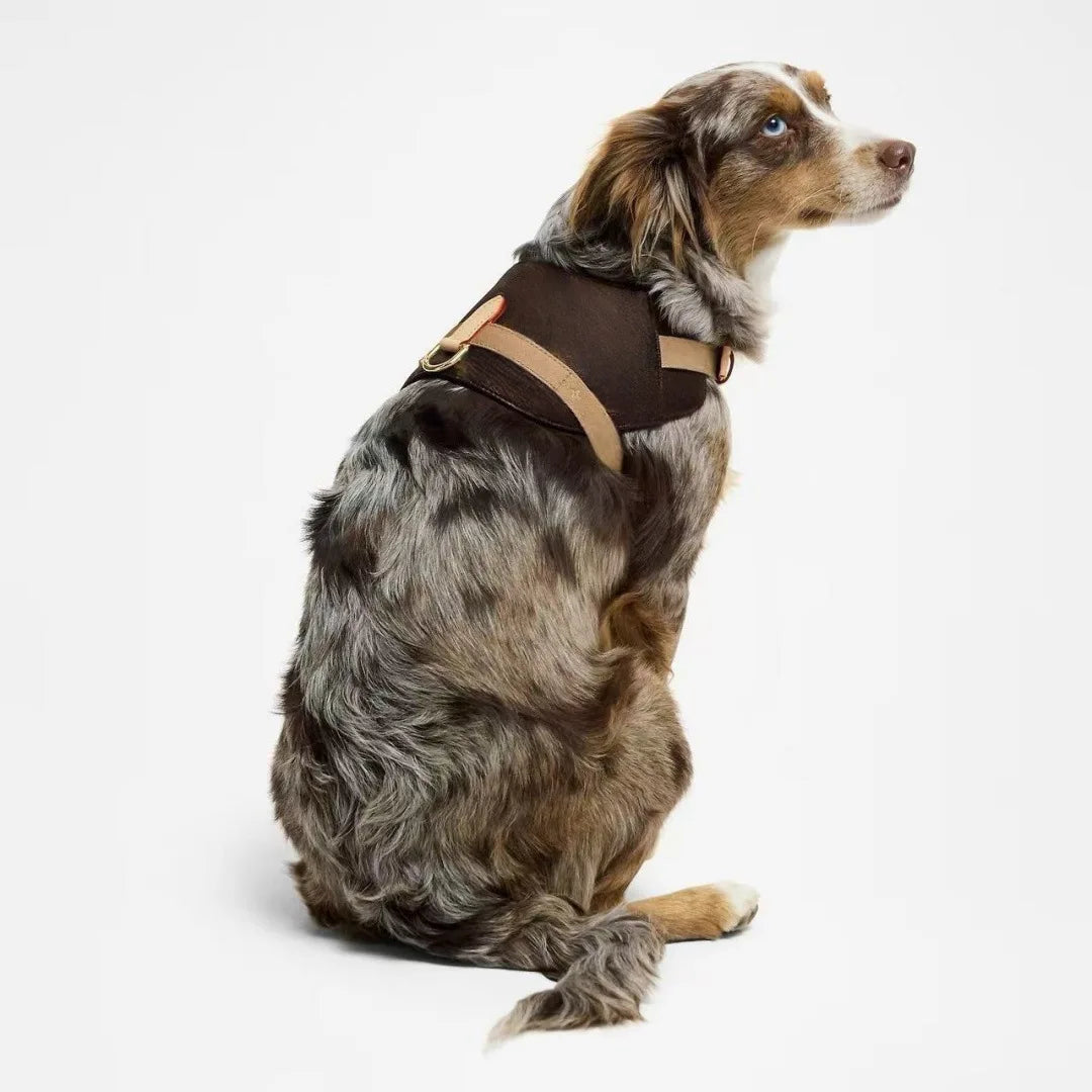 UrbanSafe Pets – Trendiges Brustgeschirr + Leine für Hunde & Katzen