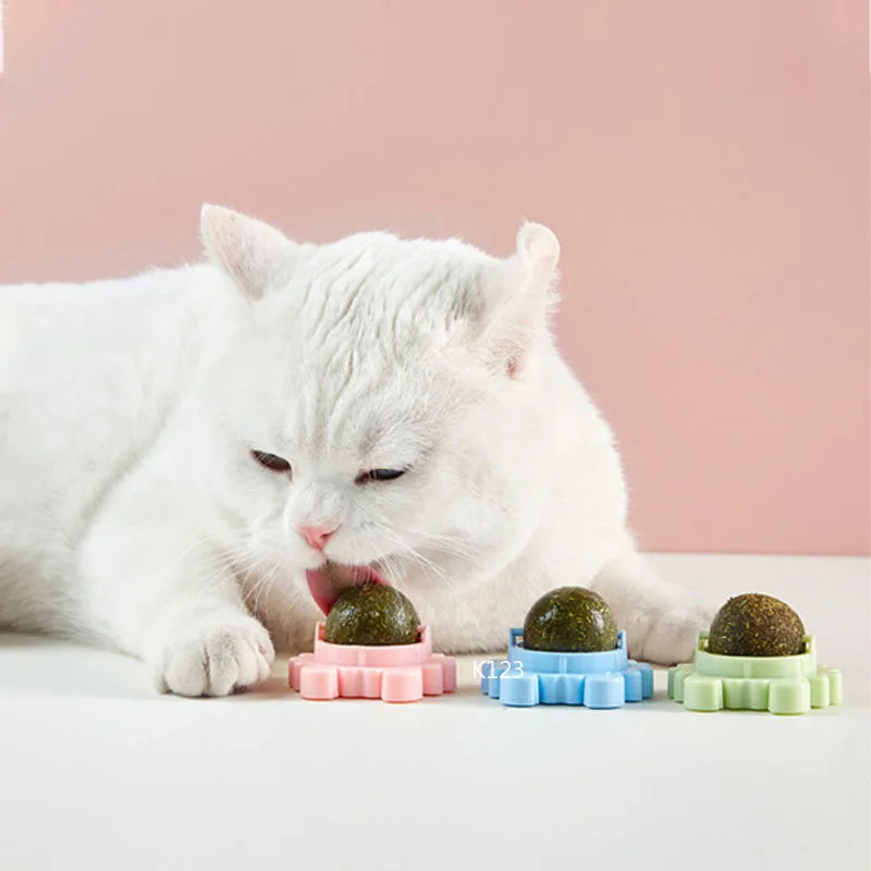 CatVita LickBall – Katzenminze Leck- & Snackball für Zahnpflege und Verdauung