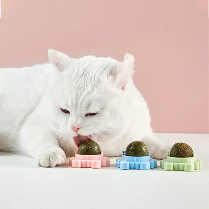 CatVita LickBall – Katzenminze Leck- & Snackball für Zahnpflege und Verdauung