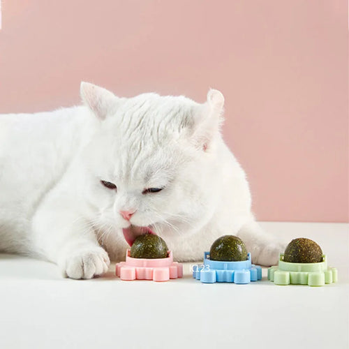 CatVita LickBall – Katzenminze Leck- & Snackball für Zahnpflege und Verdauung