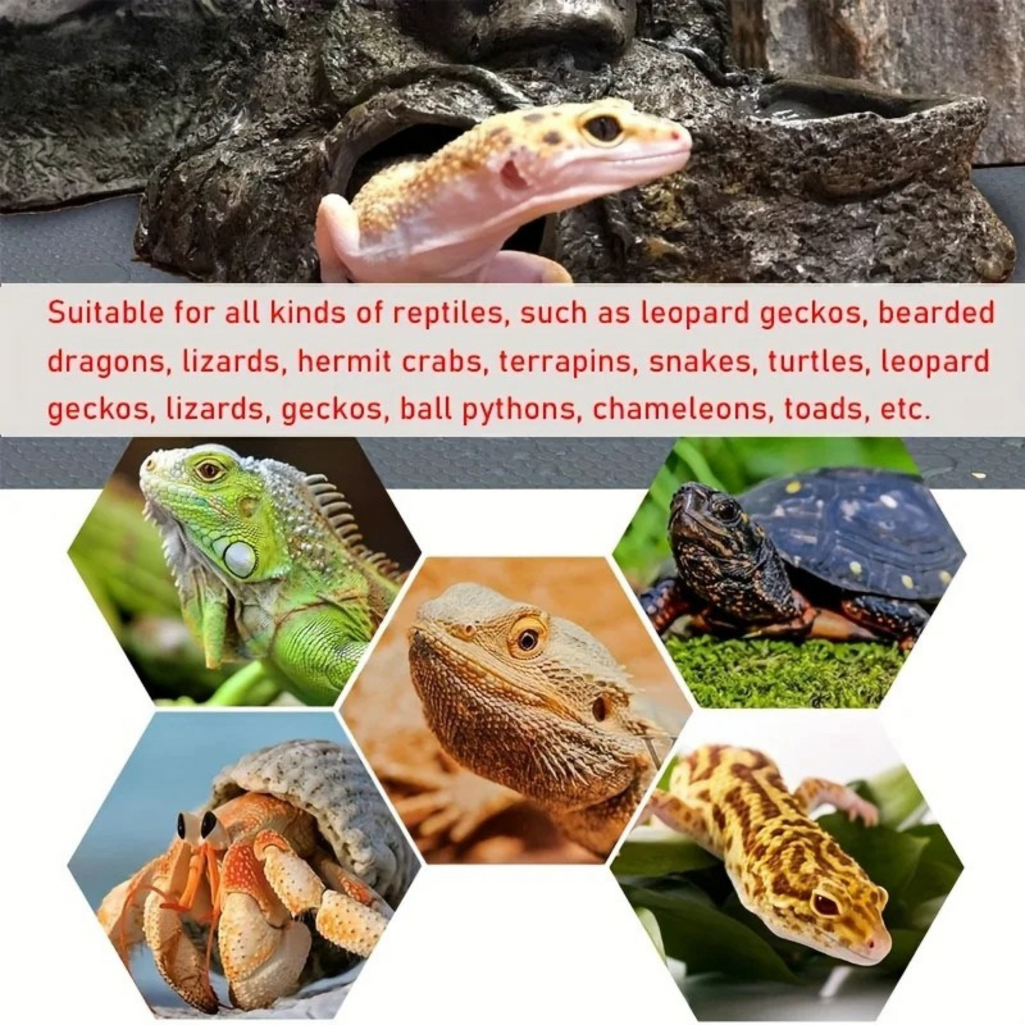 Terrarienauskleidungsmatte für Reptilien