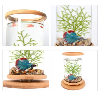 AquaGlow LED zylindrisches Mini-Aquarium