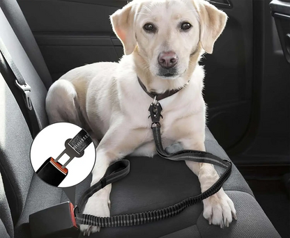 TATICRIP Reflektierende, stoßdämpfende Hundeleine mit Sicherheitsgurt – Für kräftige und aktive Hunde