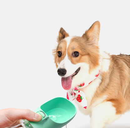 HYDROPAW – Tragbare Wasserflasche für Hunde & Katzen